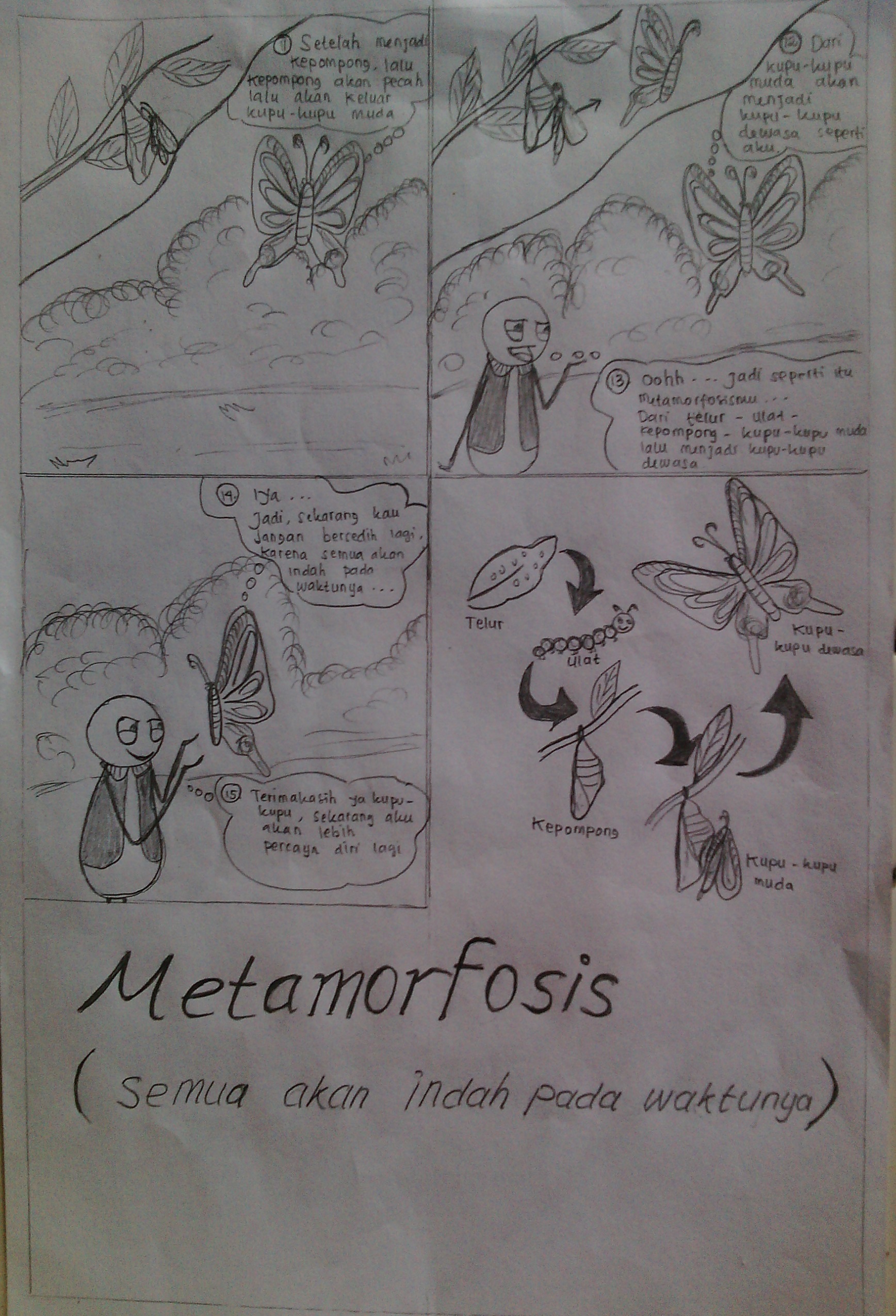 Komik Metamorfosis Kupu Kupu Ranahbiologi
